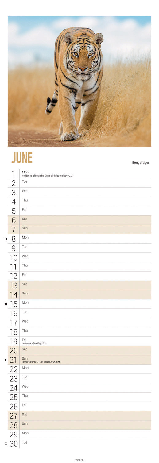 WWF, Tigers Slim Calendar 2026