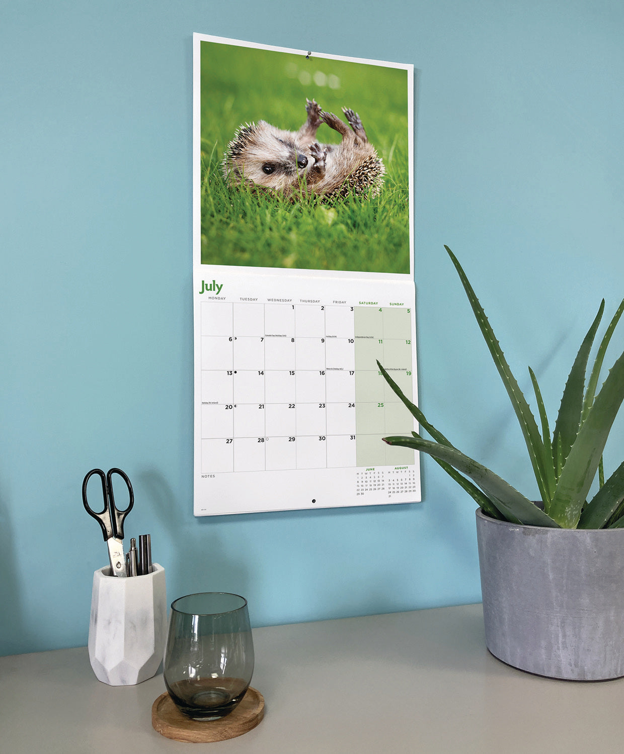 Hedgehogs Wall Calendar 2026