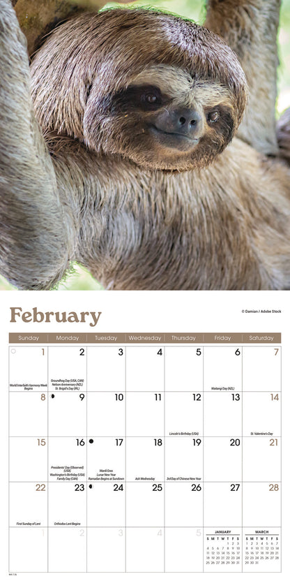 Sloths M (Sunday Start) Calendar 2026
