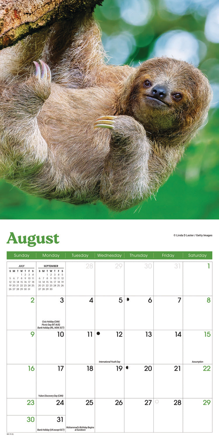 Sloths M (Sunday Start) Calendar 2026