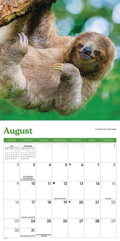 Sloths M (Sunday Start) Calendar 2026