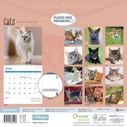 Cats Wall Calendar 2026