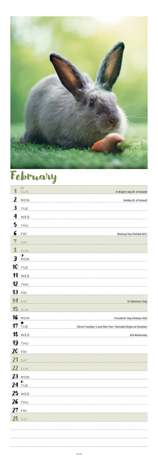 Bunnies Slim Calendar 2026