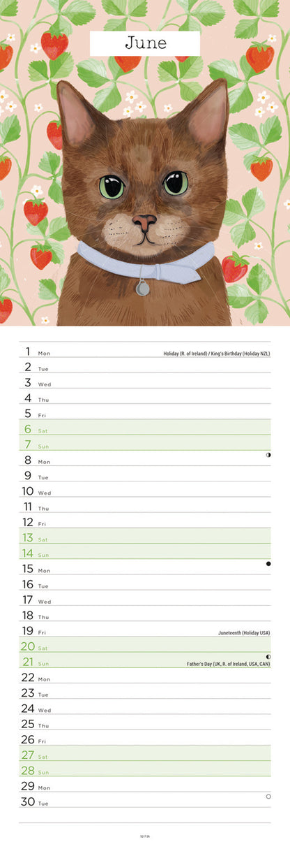 Cats Slim Calendar 2026