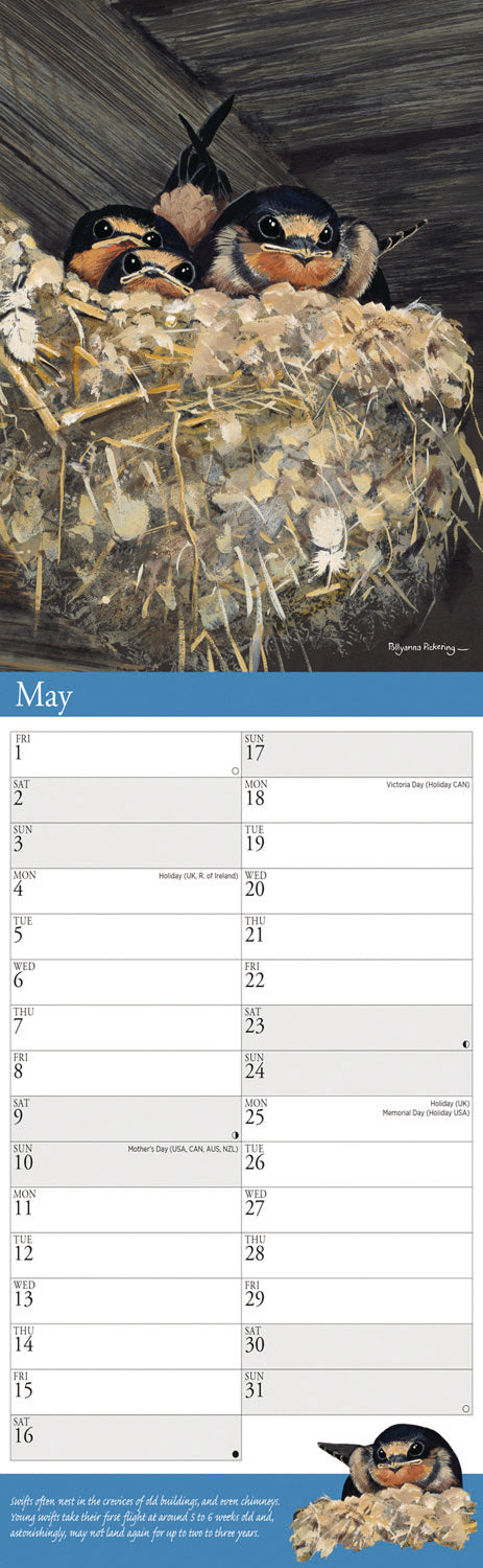 Garden Birds by Pollyanna Pickering Slim Calendar 2026