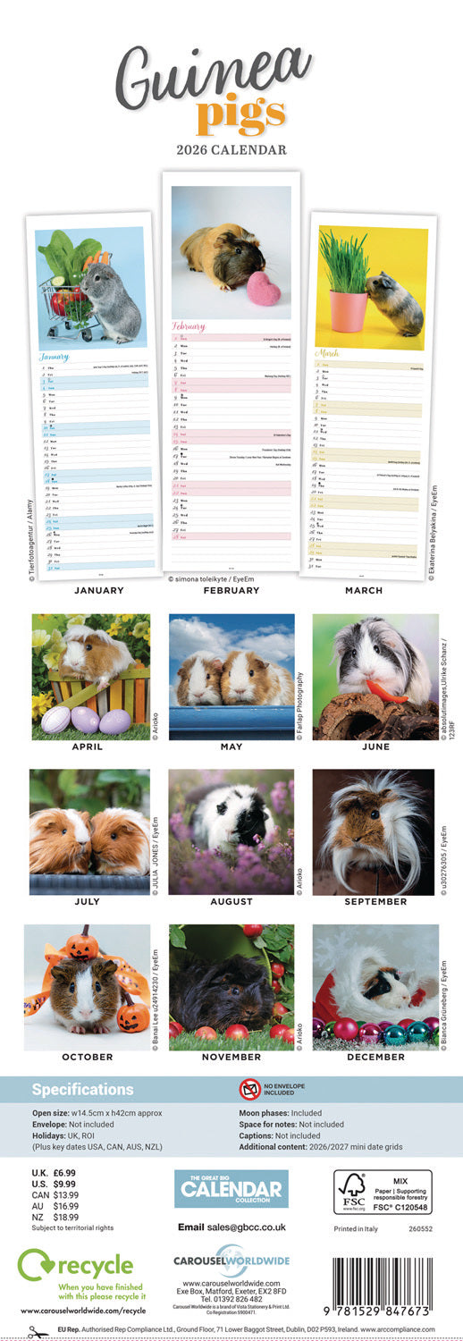 Guinea Pigs Slim Calendar 2026