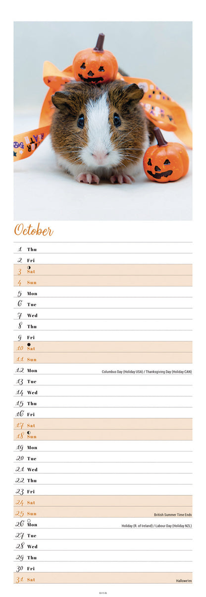 Guinea Pigs Slim Calendar 2026