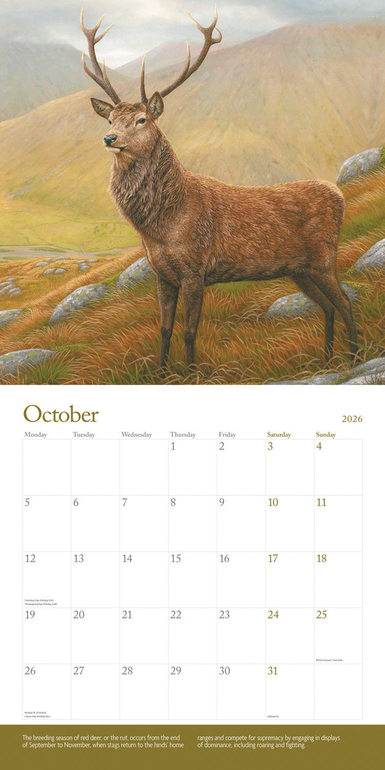 British Wildlife in Art by Robert Fuller Wall Calendar 2026