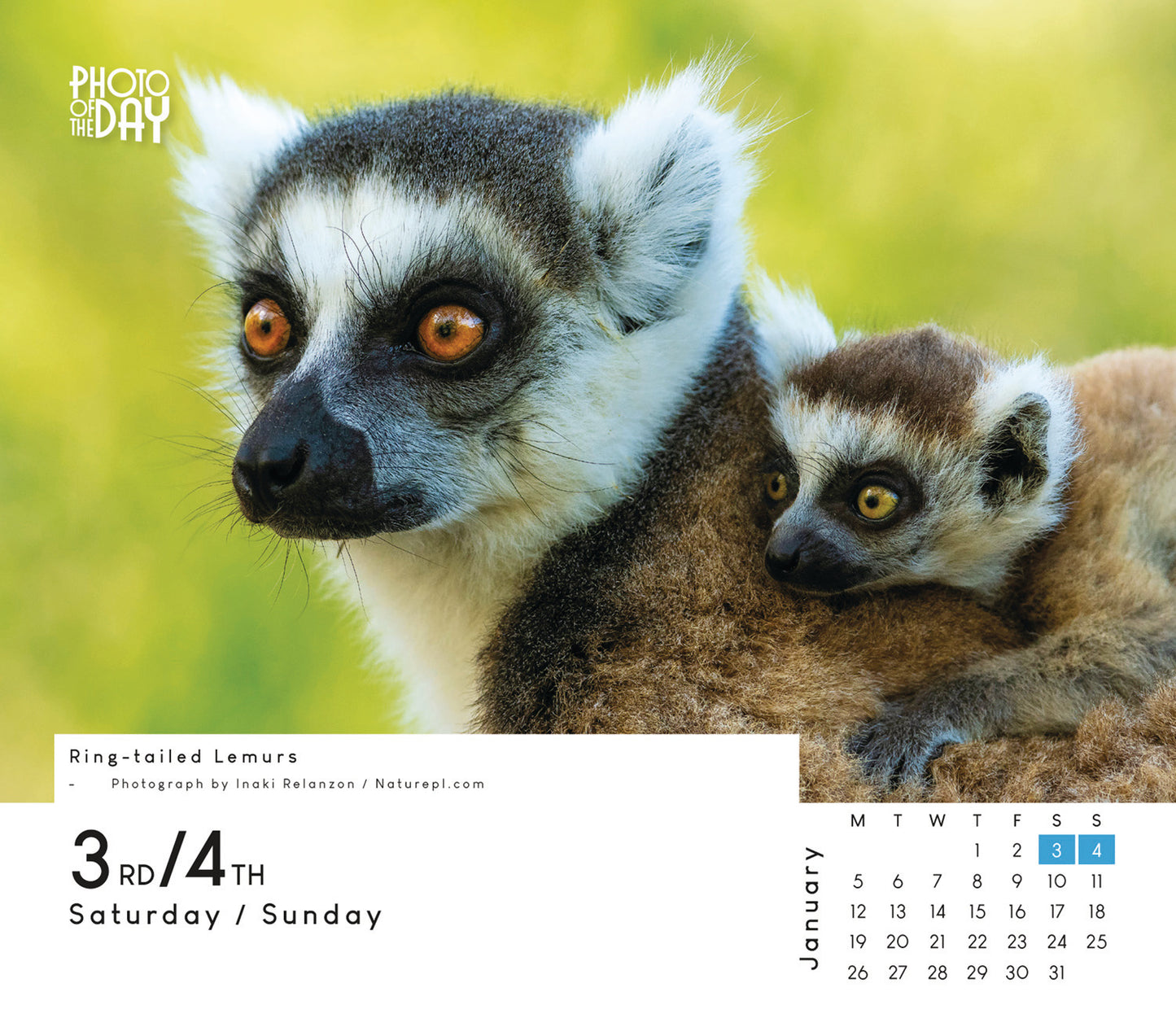 Photo of the Day Box Calendar 2026