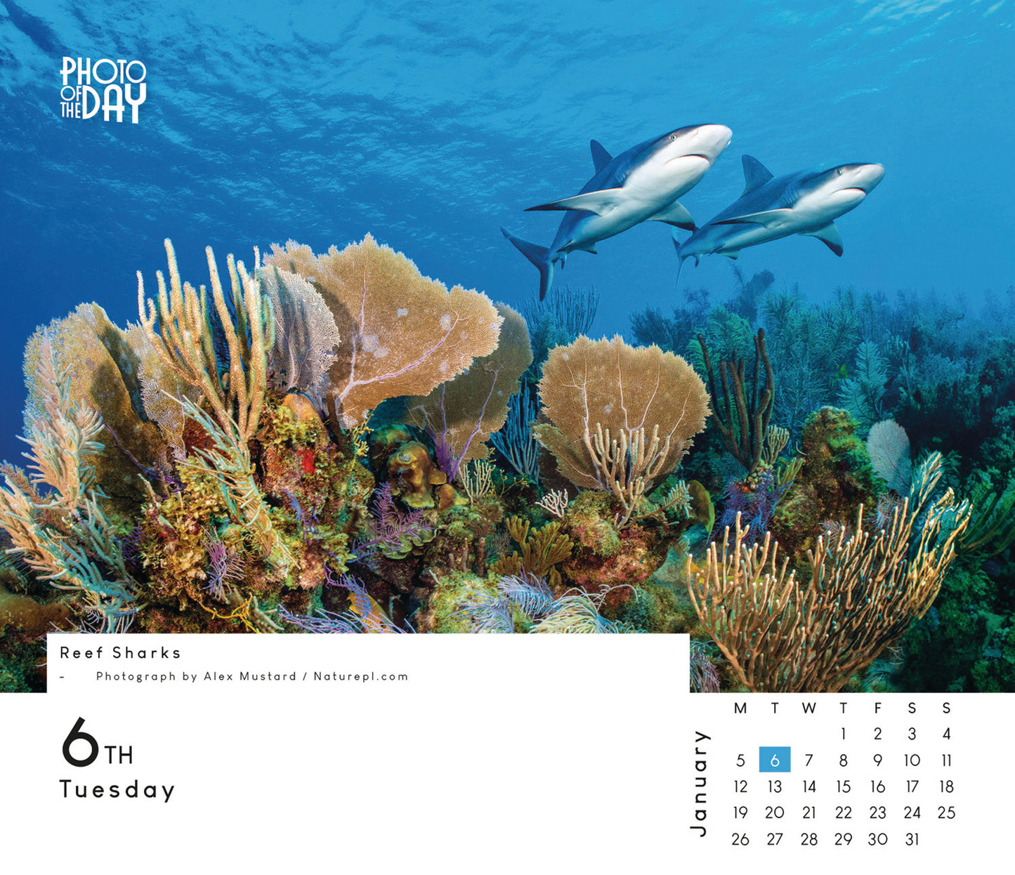 Photo of the Day Box Calendar 2026
