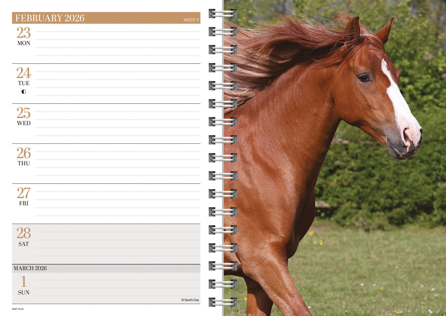 Horses A5 Wiro Diary 2026