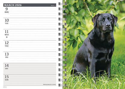 Labrador Retrievers Black A5 Wiro Diary 2026