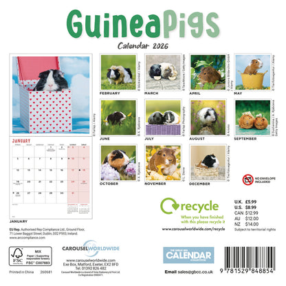 Guinea Pigs Mini Calendar 2026