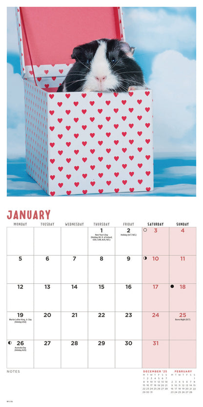 Guinea Pigs Mini Calendar 2026