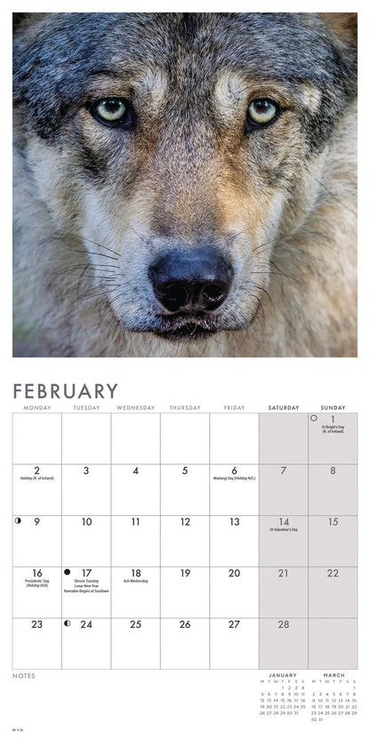 Wolves Mini Calendar 2026