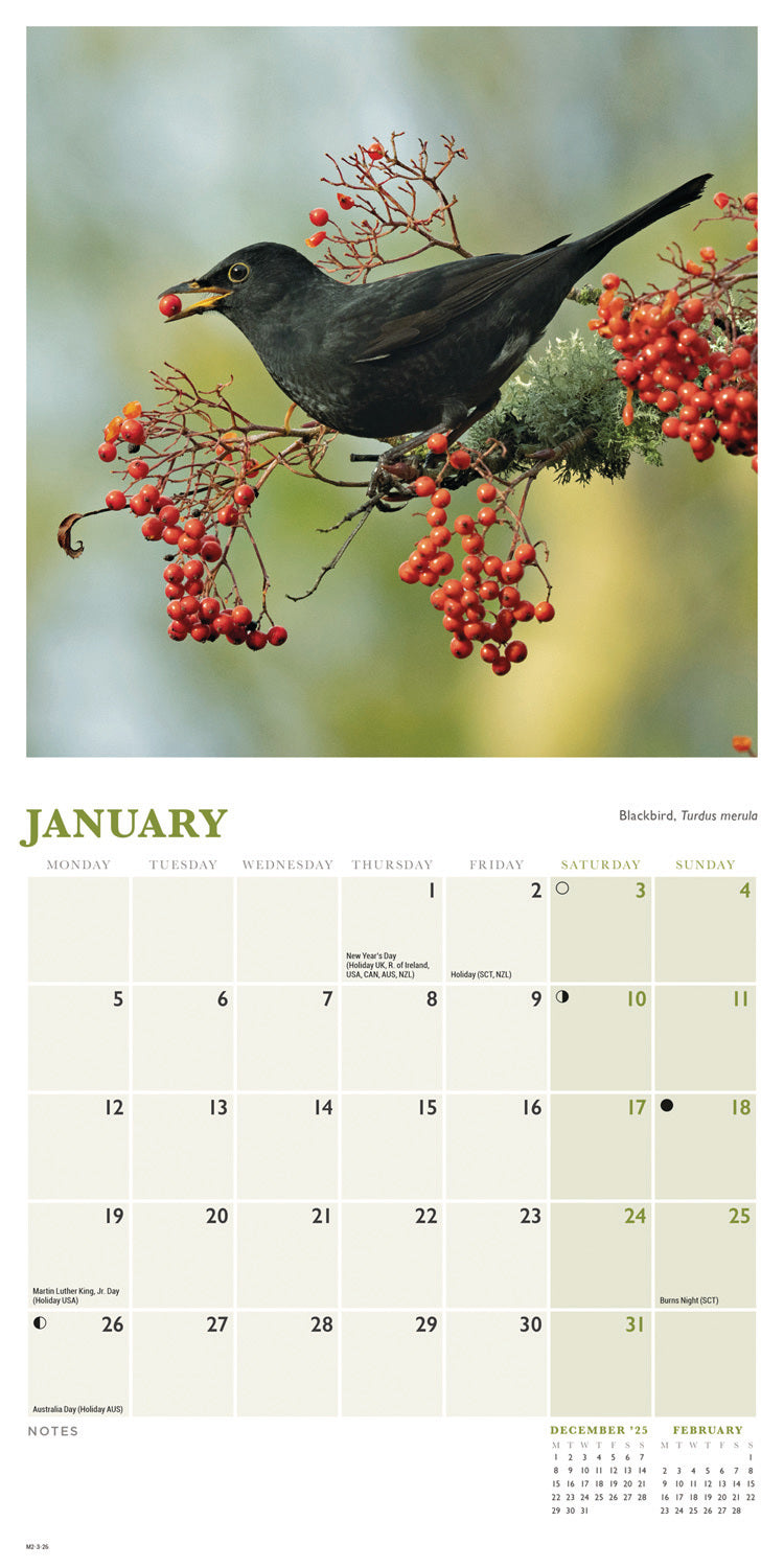 British Garden Birds Mini Calendar 2026