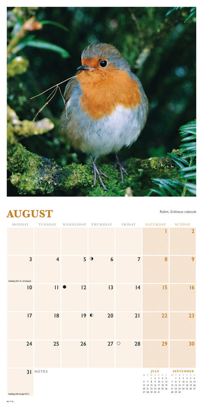 British Garden Birds Mini Calendar 2026