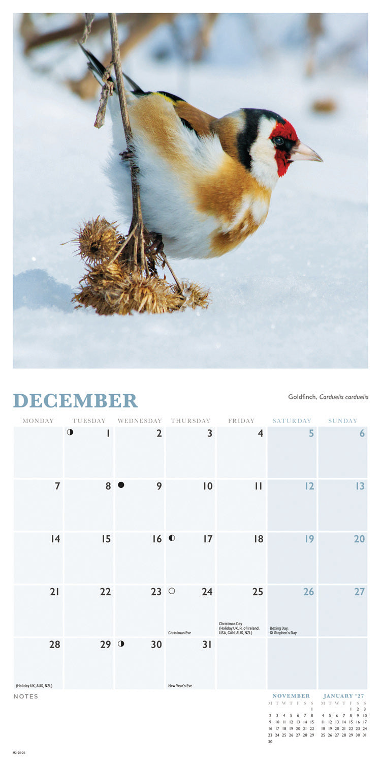 British Garden Birds Mini Calendar 2026