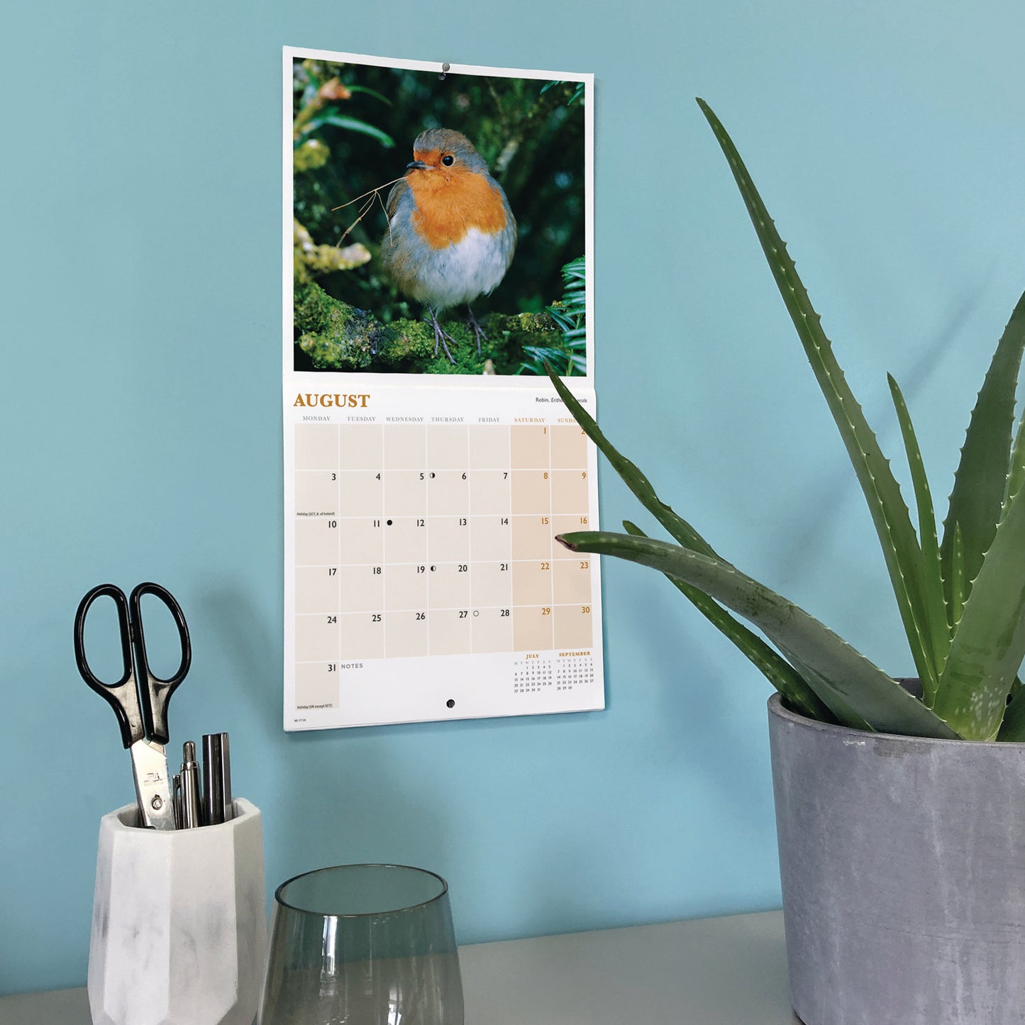 British Garden Birds Mini Calendar 2026