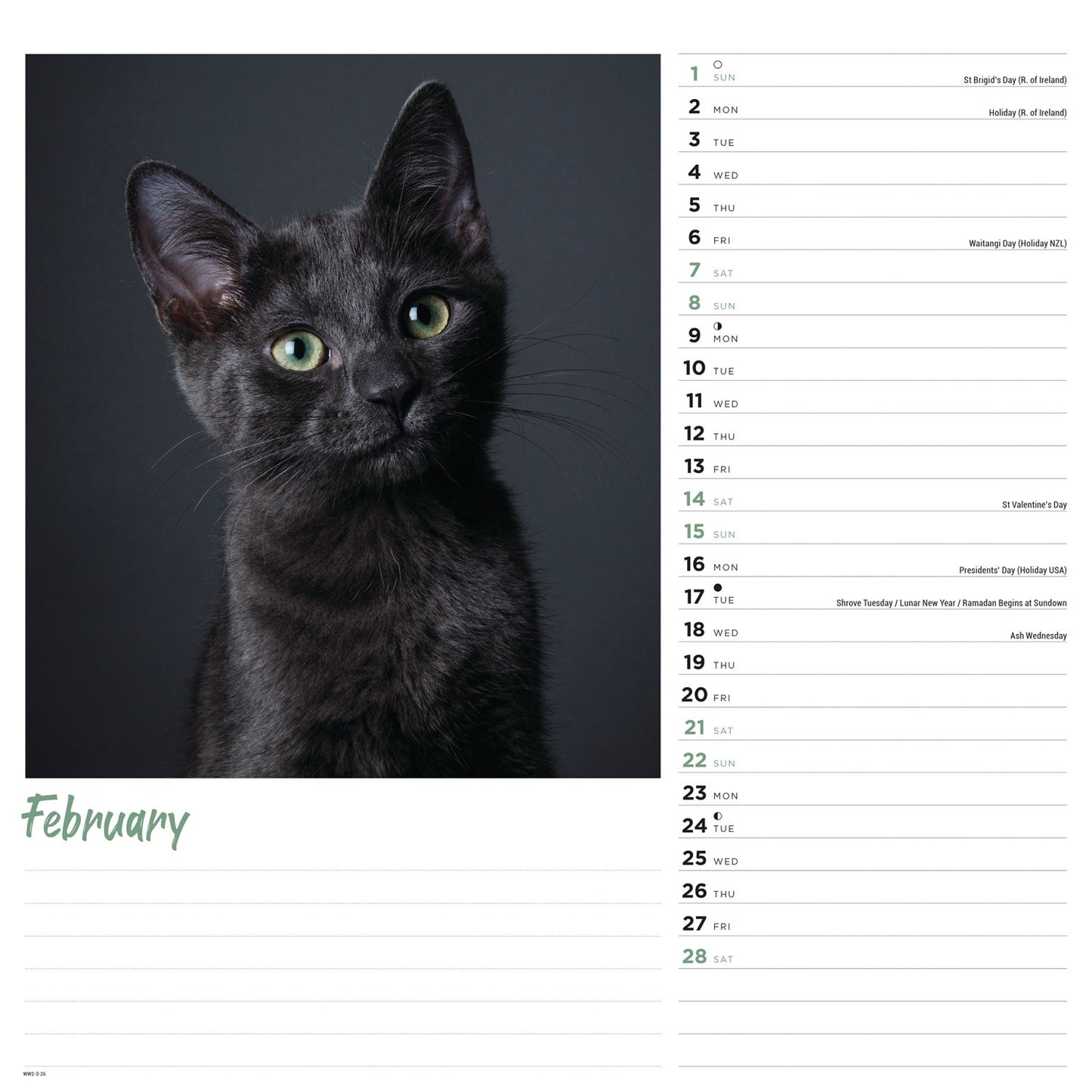 Cats Wiro Wall Calendar 2026