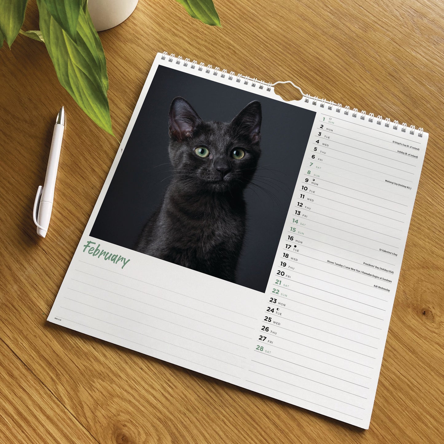 Cats Wiro Wall Calendar 2026