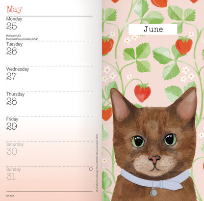 Cats Slim Diary 2026