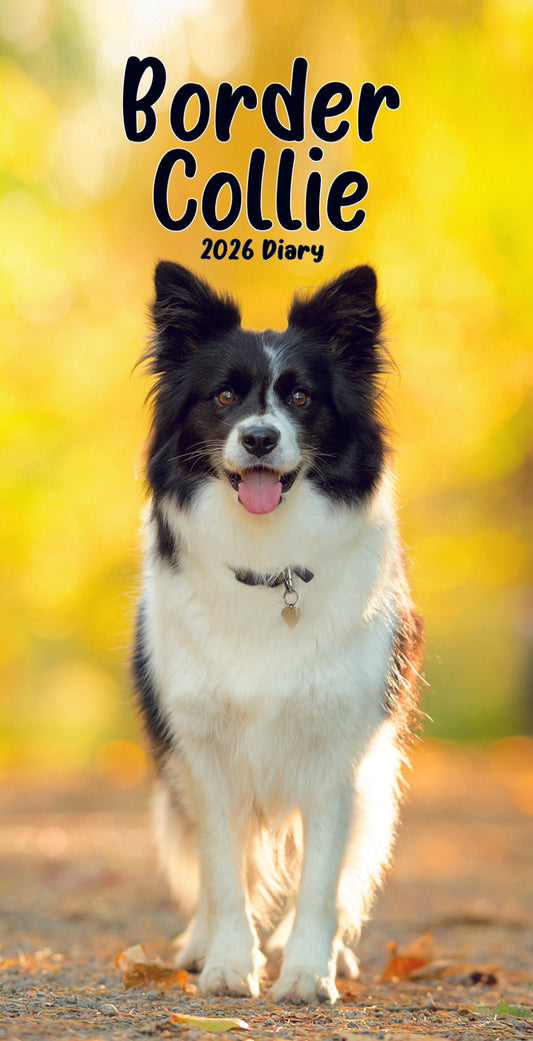 Border Collies Slim Diary 2026