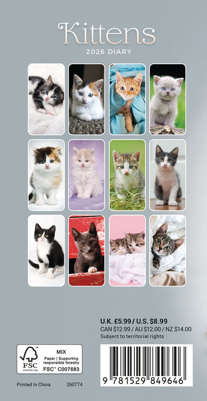 Kittens Slim Diary 2026