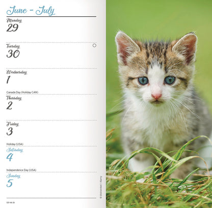 Kittens Slim Diary 2026