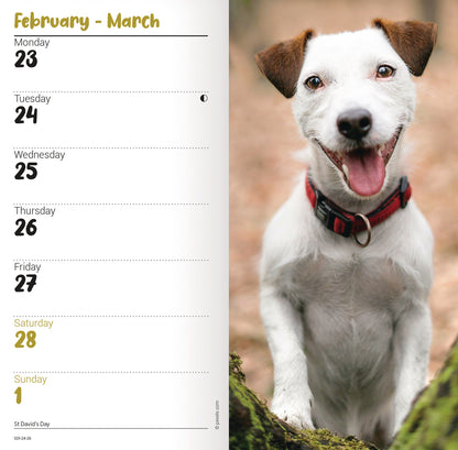 Jack Russell Terriers Slim Diary 2026