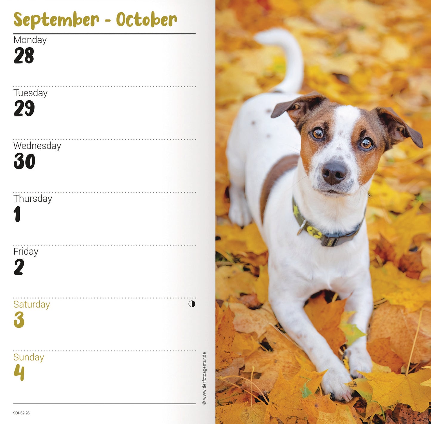 Jack Russell Terriers Slim Diary 2026