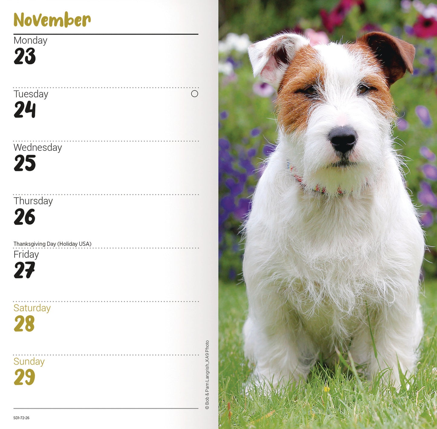 Jack Russell Terriers Slim Diary 2026