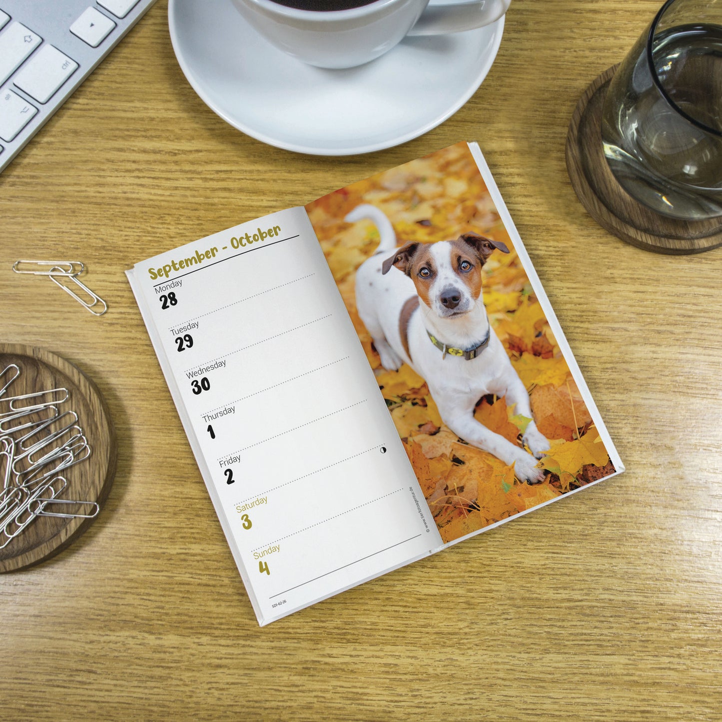 Jack Russell Terriers Slim Diary 2026
