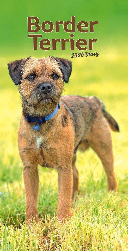 Border Terriers Slim Diary 2026