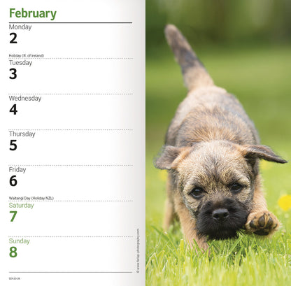 Border Terriers Slim Diary 2026