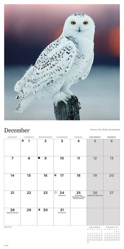 Owls Mini Calendar 2026