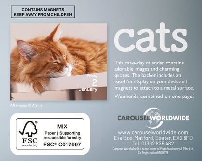 Cats Mini Box Calendar 2026
