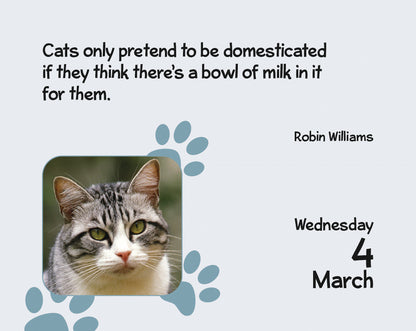 Cats Mini Box Calendar 2026