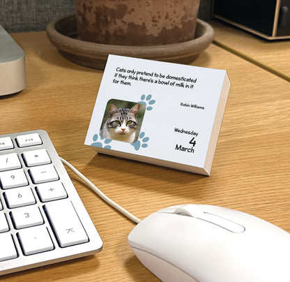 Cats Mini Box Calendar 2026