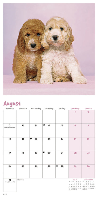 Cockapoo Puppies Mini Calendar 2026