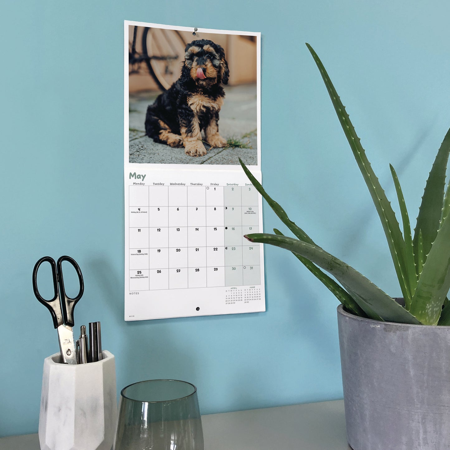 Cockapoo Puppies Mini Calendar 2026
