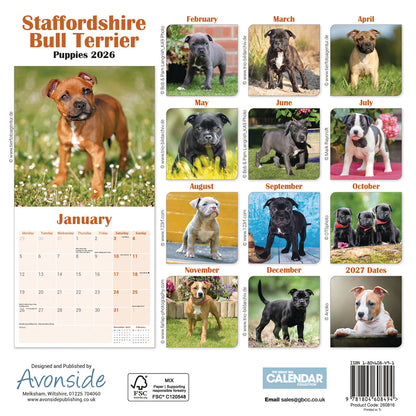 Staffordshire Bull Terrier Puppies Mini Calendar 2026