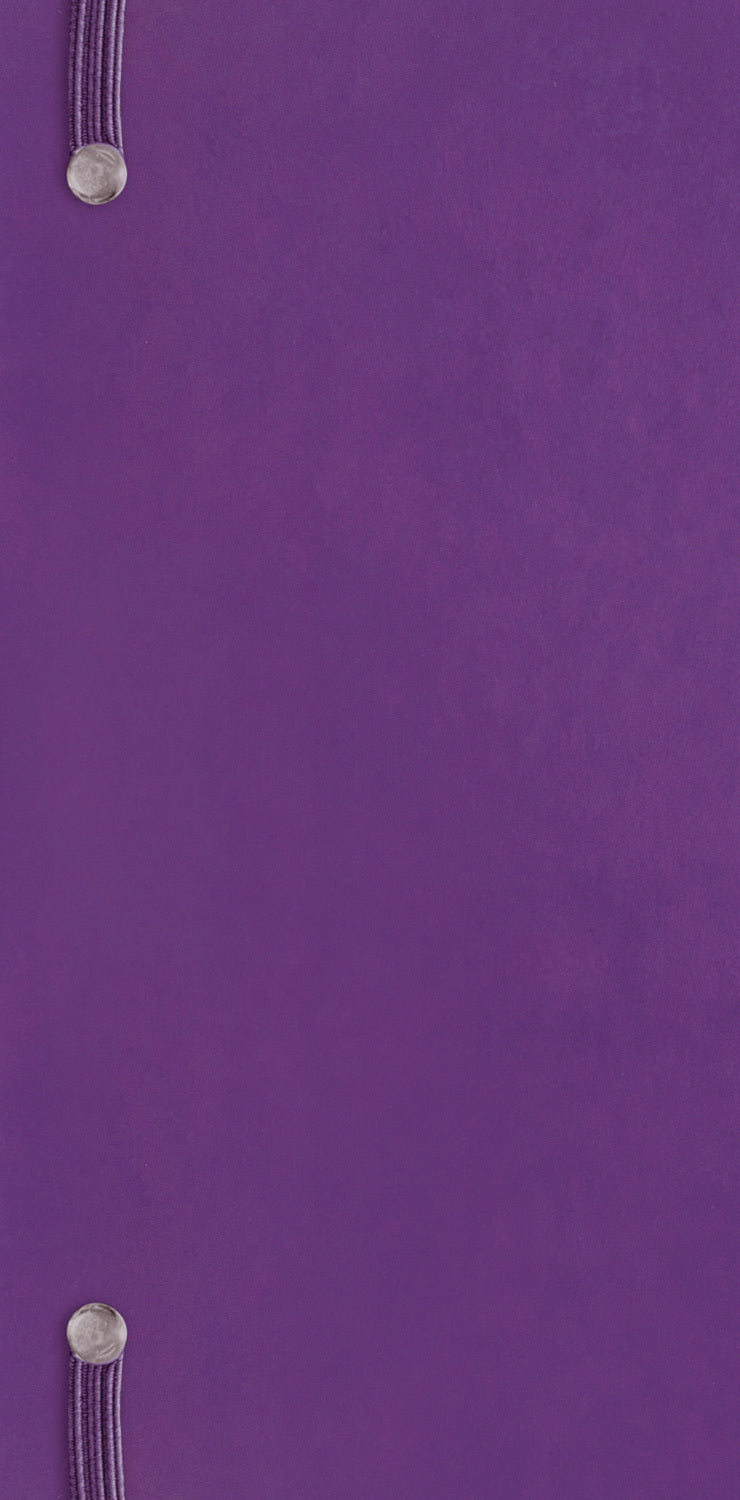 Fashion Purple Soft Touch Slim Dlx Diary 2026