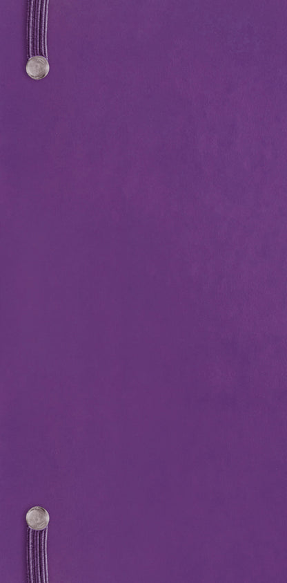 Fashion Purple Soft Touch Slim Dlx Diary 2026