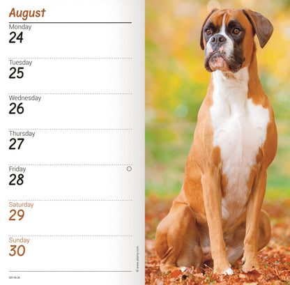 Boxers Slim Diary 2026