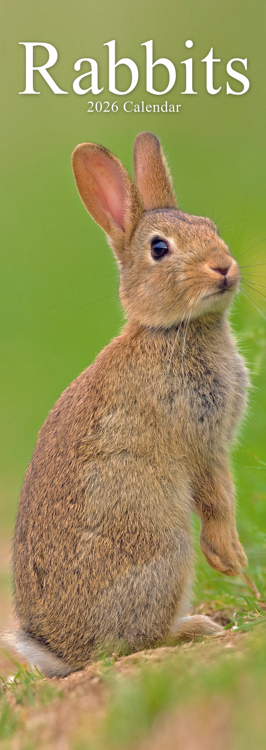 Rabbits Slim Calendar 2026