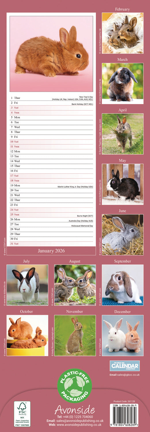 Rabbits Slim Calendar 2026