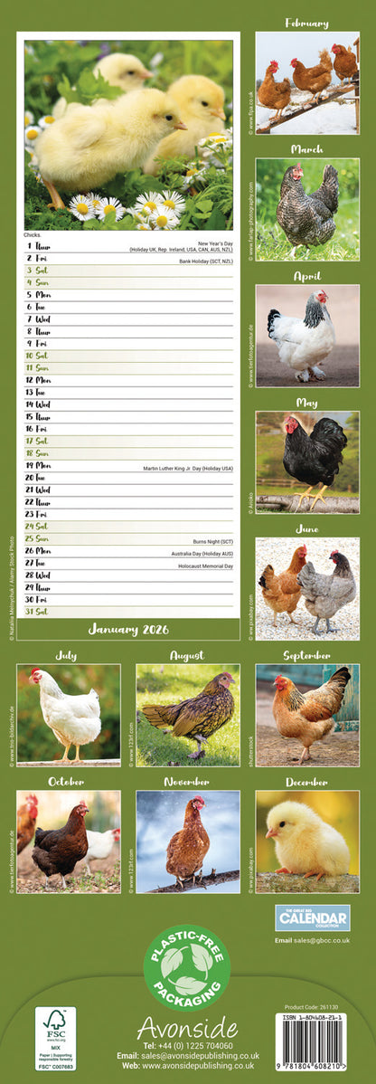 Chickens Slim Calendar 2026