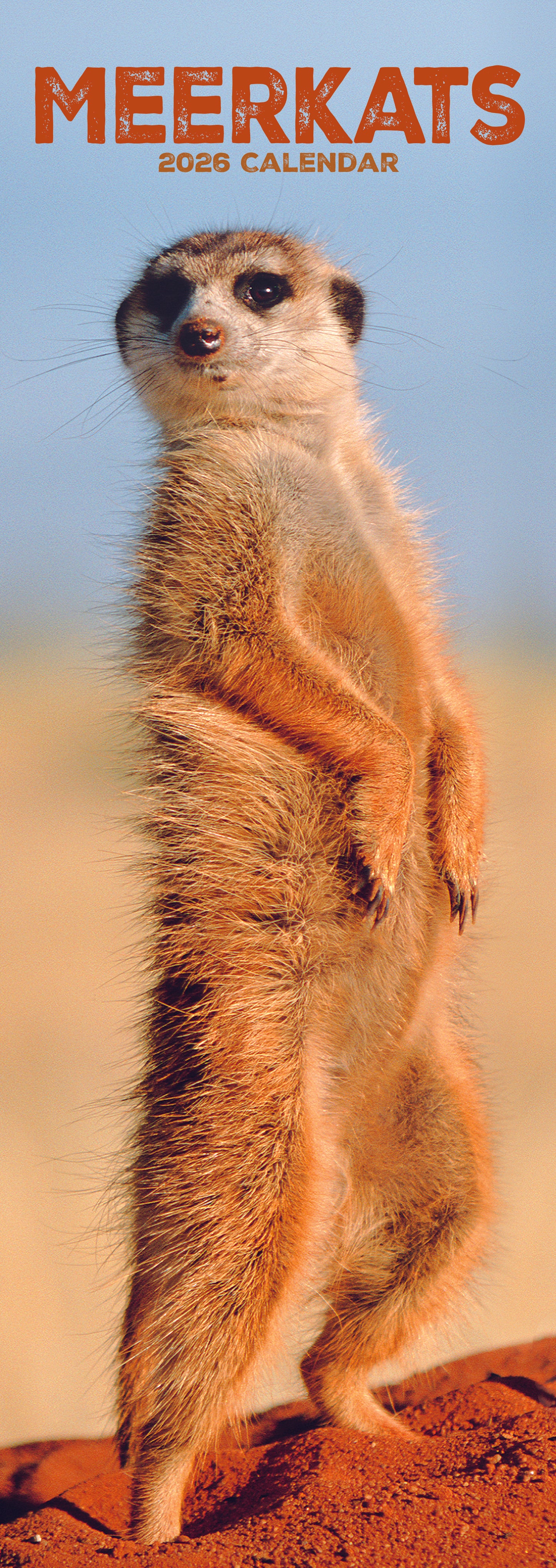 Meerkats Slim Calendar 2026