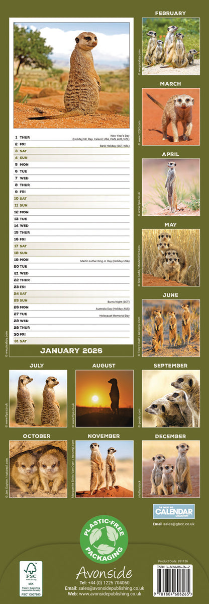 Meerkats Slim Calendar 2026